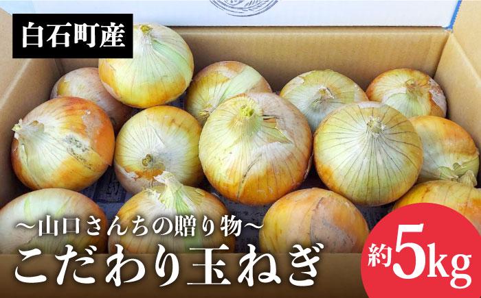 
            【先行予約】農家直送！こだわり 玉ねぎ 約5kg～山口さんちの贈り物～【y'scompany】晩生 玉葱 タマネギ たまねぎ [IAS011]
          