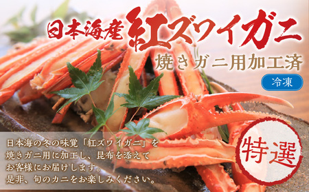 ズワイガニ 特選蟹 日本海産蟹 紅ズワイガニ（カニ鍋・焼き蟹用加工済）紅ズワイガニズワイガニズワイガニズワイガニ蟹カニ蟹