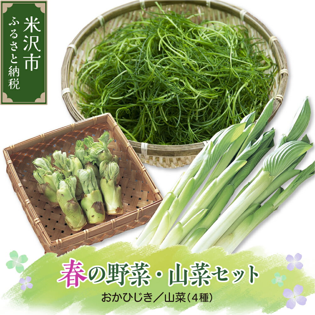 【ふるさと納税】【先行予約】 令和8年産 春の山菜セット おかひじき 500g 山菜 1箱 ( うるい わらび みず ふき タラの芽 など 4種類 ) 2026年4月下旬～5月下旬頃 お届け予定