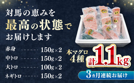 【全3回定期便】 対馬産 本マグロ 4種 計1.1kg（赤身/中トロ/大トロ/ネギトロ）[WAH037] マグロ まぐろ トロ