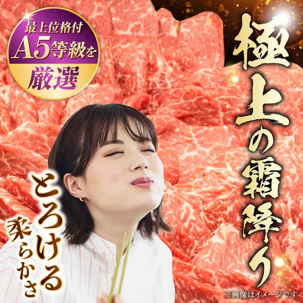 【全12回定期便】熊本県産 A5等級 黒毛和牛 和王 ウデ・モモ 焼肉用 約400g 計約4.8kg 焼肉[AYCH022]