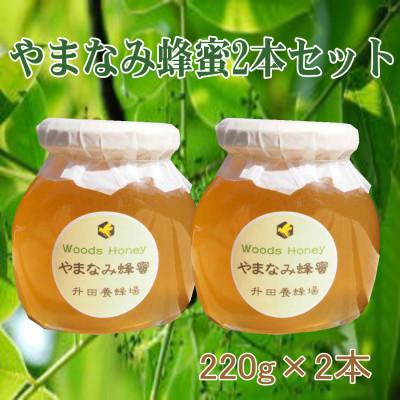 ふるさと納税 三次市 国産純粋はちみつ 升田養蜂場の『やまなみ蜂蜜2本セット』220g2本入