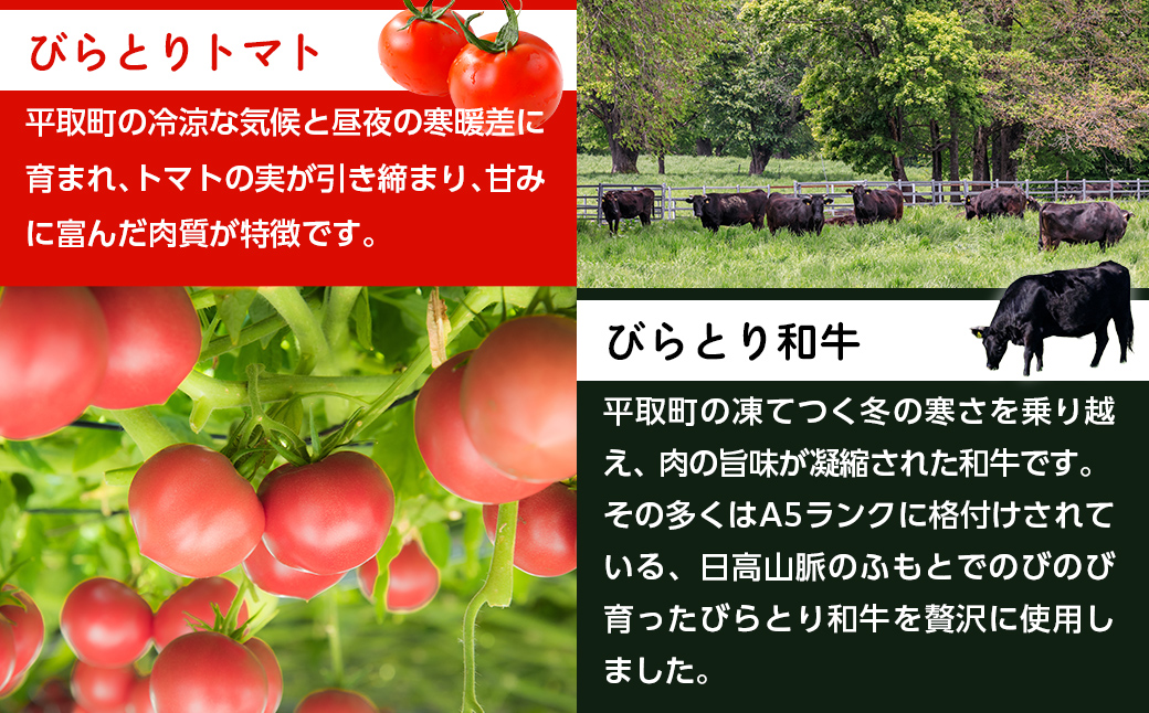 ニシパの恋人ミートソース びらとりトマト・びらとり和牛入り145g×6袋　BRTH032