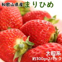 【ふるさと納税】 いちご 和歌山県産ブランドいちご「まりひめ」大粒系約300g×2パック入り ※2024年12月中旬～2025年2月下旬頃順次発送（お届け日指定不可）/イチゴ 苺 フルーツ 紀州 和歌山