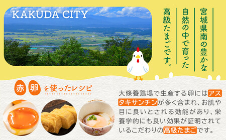 おおえだファーム アスタキサンチン卵（赤卵）Lサイズ 50個入り