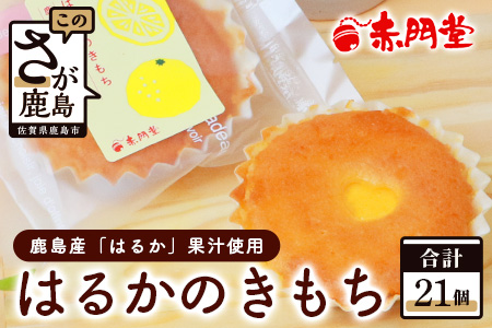 【赤門堂の焼菓子】はるかのきもち 21個 マドレーヌ 焼き菓子 焼菓子 お菓子 郷土菓子 ご当地スイーツ 焼き菓子 焼菓子 贈物 プレゼント ギフト 贈り物 お土産 おやつ B-641