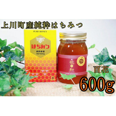 【ふるさと納税】北海道上川町産　純粋はちみつ600g×1本(百花はちみつ)【1302】【1281740】