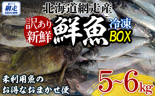 【訳あり】網走産冷凍鮮魚BOX～未利用魚の有効活用（漁業生産者応援企画）～ ABAE011 | セット 訳あり たこ ホッケ さけ