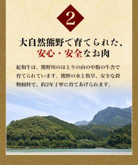 紀和牛サーロインステーキ2枚セット【冷蔵】  牛 牛肉 ステーキ サーロイン 紀和牛【tnk100-1】