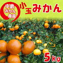 【ふるさと納税】 【2024年12月から発送】中島産 温州 みかん 小玉5kg 中島みかん農園｜先行予約 ミカン 蜜柑 温州 不揃い 柑橘 果物 フルーツ 松山 愛媛