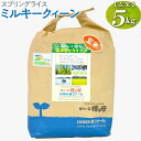 【ふるさと納税】【新米】スプリングライス ミルキークィーン (玄米) 5kg｜米 コメ こめ ごはん ご飯 ゴハン 白飯 スプリング ライス ミルキー クイーン 水 こだわり 地下水 5kg 贈答 玄米 ビタミン ミネラル 食物繊維 ギフト 贈答 贈り物 プレゼント お祝 ご褒美 _BI62