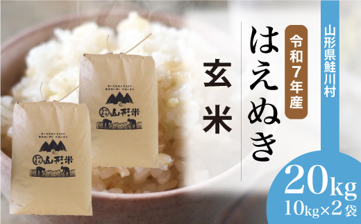 
                  ＜令和7年産＞ はえぬき 【玄米】 20kg （10kg×2袋）＜配送時期選べます＞　山形県鮭川村
                