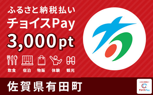 
有田町チョイスPay 3,000pt（1pt＝1円）【会員限定のお礼の品】
