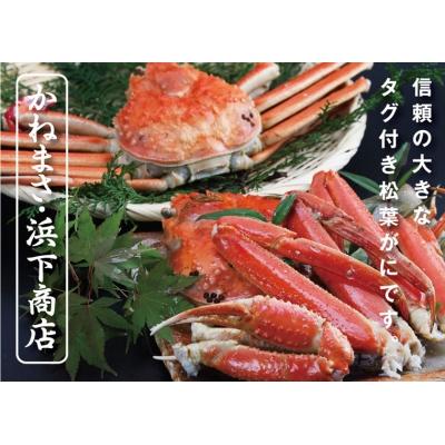 ふるさと納税 鳥取市 鳥取賀露港 タグ付き浜茹で松葉がに (かねまさ・浜下商店) |  | 01