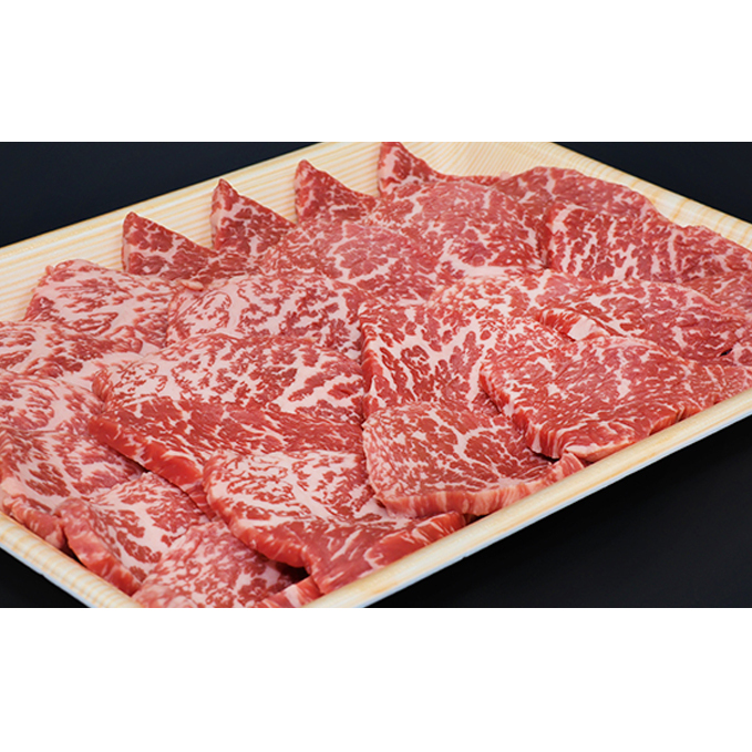 ふるさと納税　飛騨牛 もも肉 赤身 焼肉 500g A5 和牛 牛肉 お肉 モモ モモ肉 焼肉用 バーベキュー BBQ_イメージ3