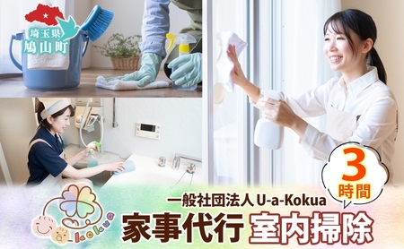 家事代行室内掃除床拭き窓ふき水回り家事代行【3時間】