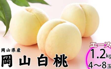 岡山白桃 エース 4～8玉 約1.2kg 岡山県産 【2025年7月上旬～8月下旬迄発送予定】 ／ 白桃 桃 もも 果物 果実 フルーツ 岡山県 美咲町 冷蔵