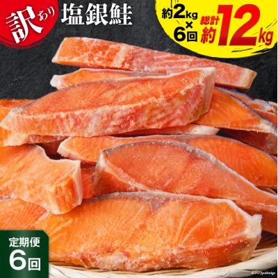 ふるさと納税 気仙沼市 定期便 《6ヶ月連続お届け》 訳あり 銀鮭 切身 約2kg×6回 計12kg 20564480