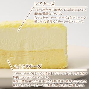 二層の贅沢チーズケーキ チーズケーキ チーズケーキ チーズケーキ J88_02