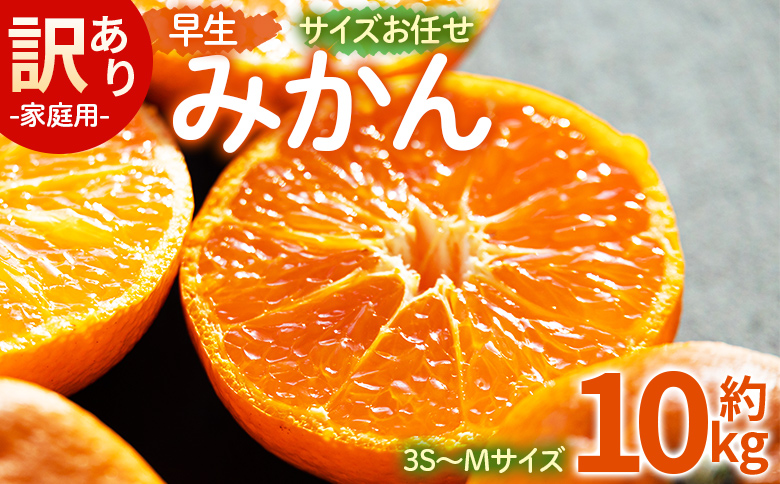 訳あり(家庭用) サイズお任せ 早生みかん 10kg 3S～Mサイズ be-0102