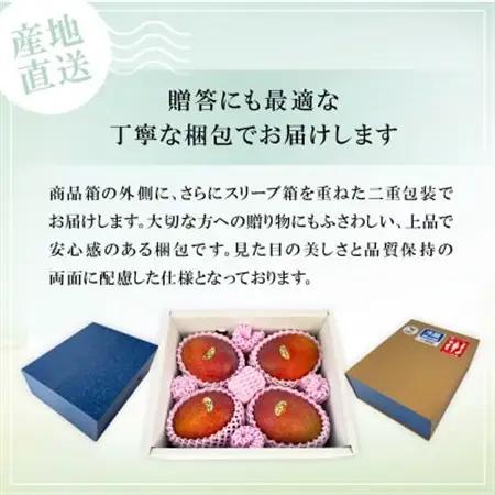 【2027年6月下旬から順次発送】かみざと農園の贈答用アップルマンゴー2kg【配送不可地域：離島】【1601772】