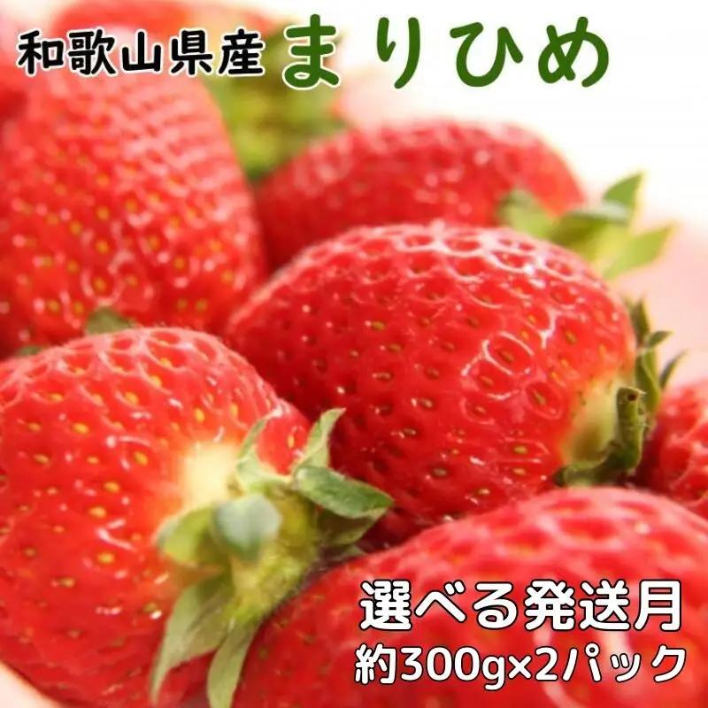 和歌山県産ブランド いちご「まりひめ」約300g×2パック入り ※2027年4月順次発送予定（お届け日指定不可） ※北海道・沖縄・離島配送不可【tec500-r-300x2-apr】
