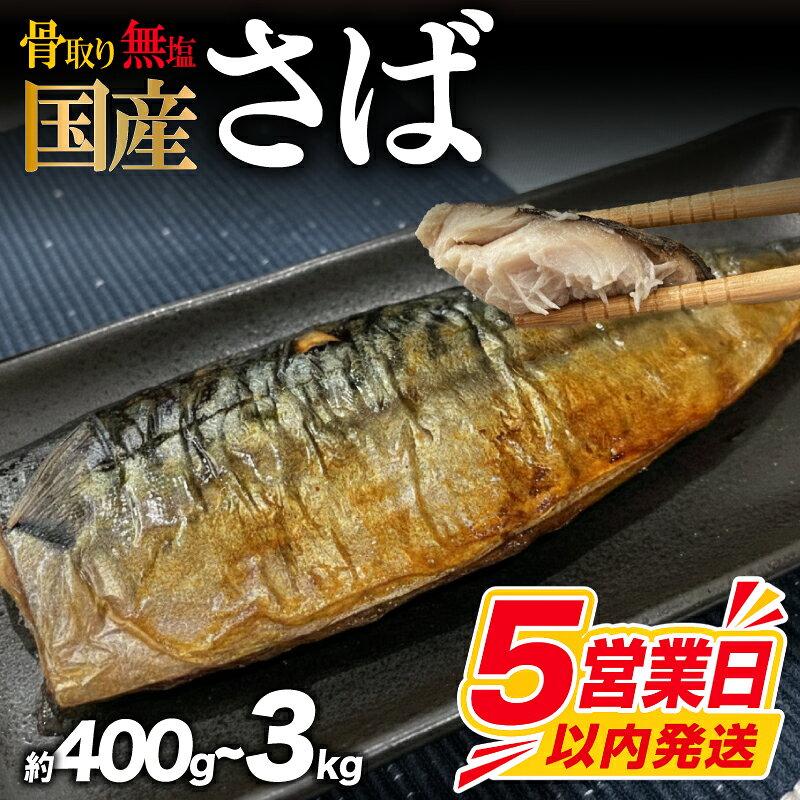 【ふるさと納税】 訳あり 骨取り さば 国産 【5営業日以内発送】 無塩 選べる 400g 約1kg 約2kg 約3kg 国産 鯖 簡易包装 サバ 骨なし 骨抜き 訳アリ わけあり 冷凍 食品 大容量 人気 魚 魚介 魚貝 海鮮 惣菜 贈答 ギフト 送料無料 不揃い 規格外 鯖 ふるさと納税 下関 山口