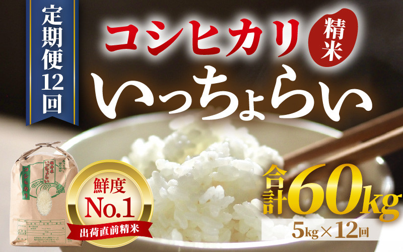 
                  【先行予約】【令和8年産・新米】【一等米】《定期便12回》いっちょらい 精米 5kg × 12回（計60kg）／ 福井県産 ブランド米 コシヒカリ ご飯 白米 新鮮 大賞 受賞 新米 福井県 あわら産 ※2026年10月上旬以降順次発送予定 [aw012-j005]
                