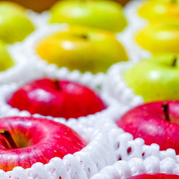 【2025年12月上旬発送】 【特選】 旬の美味しい りんご 約3kg 青森産 【おまかせ1品種】