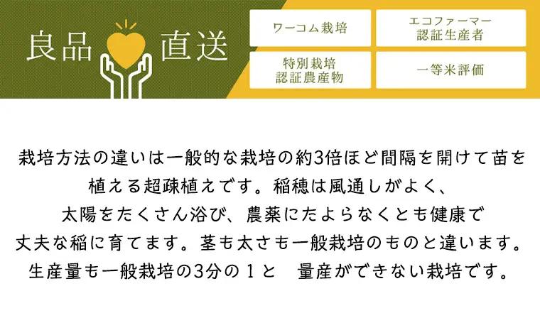 令和7年度産 山形産 「つや姫」10kg (玄米) 特別栽培米 8割減農薬・9割減化学肥料（当地比）【カブトエビが泳ぐほそやさんの田んぼから】微生物を活性化させるワーコム栽培 FY26-270
