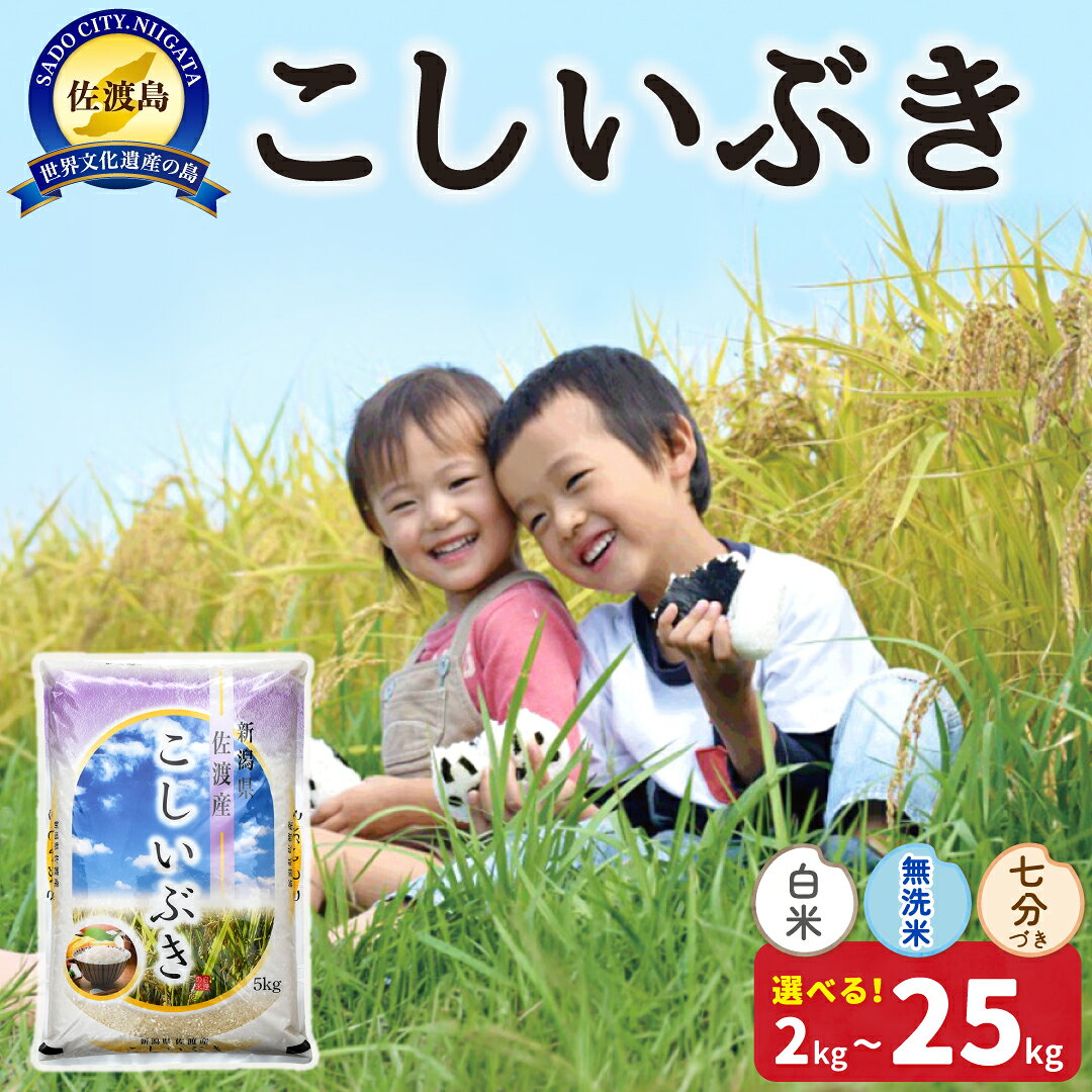 【ふるさと納税】米 こしいぶき 新潟 2kg 4kg 5kg 10kg 15kg 20kg 25kg 選べる 白米 無洗米 七分づき 令和8年産 精米 白米 佐渡島産 精米したて あっさり こめ コメ ブランド米 ごはん チャーハン 丼 おにぎり お弁当 おすすめ お取り寄せ 新潟県 佐渡市