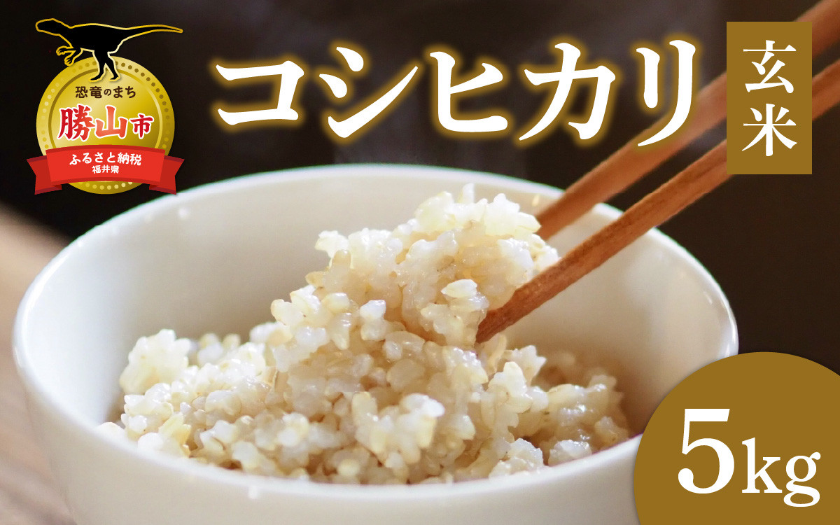 
                  【令和7年産】【勝山市産】田中さんちのコシヒカリ 玄米 5kg [A-080007]
                