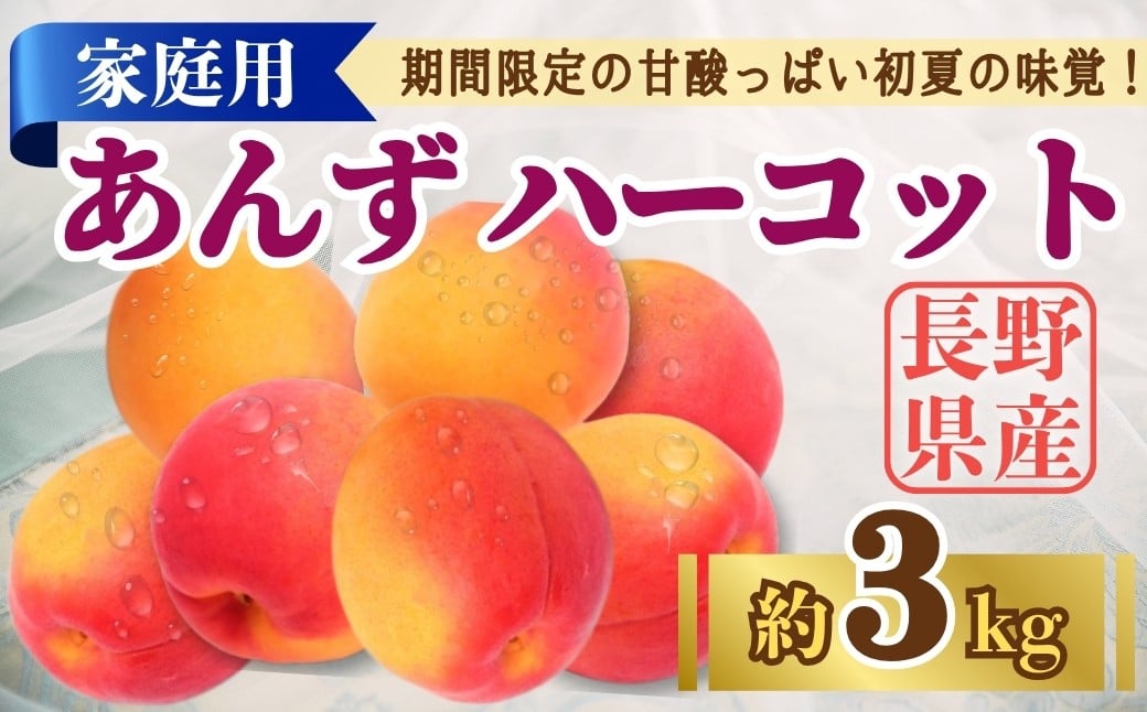 
            【2025年先行予約】あんず ハーコット 家庭用 約3kg｜ 果物 フルーツ 杏子 アンズ アプリコット 千曲市 長野県 信州
          