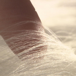 妖精の羽シャンブレーストール スカイブルー  FAF-0014