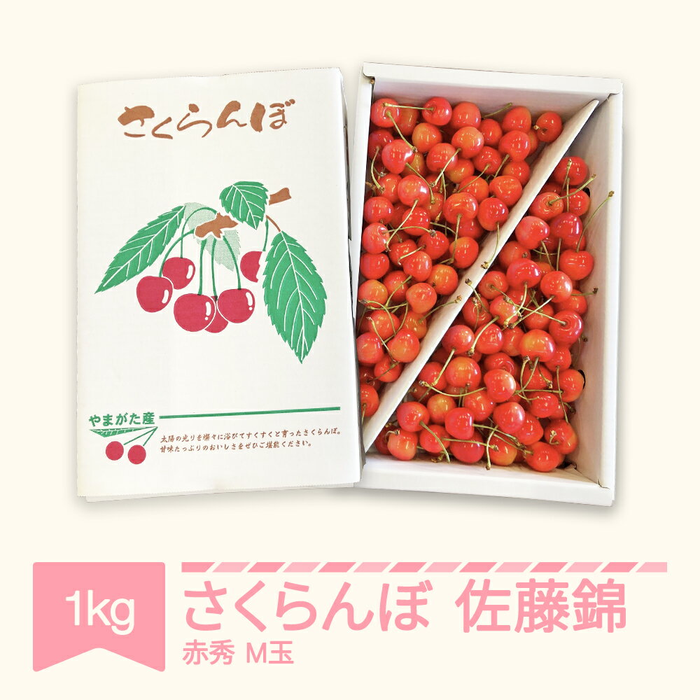 【ふるさと納税】【先行予約】 さくらんぼ 佐藤錦 赤秀 M玉 1kg バラ詰 2026年産 令和8年産 山形県産