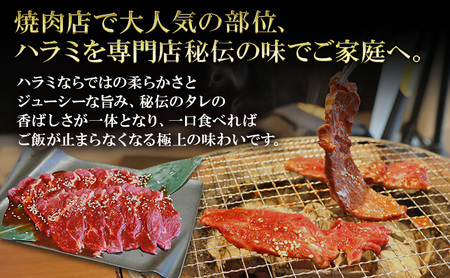 アメリカ産タレ漬け牛ハラミ　300g×２| 牛肉 焼肉 焼き肉 アウトドア BBQ 