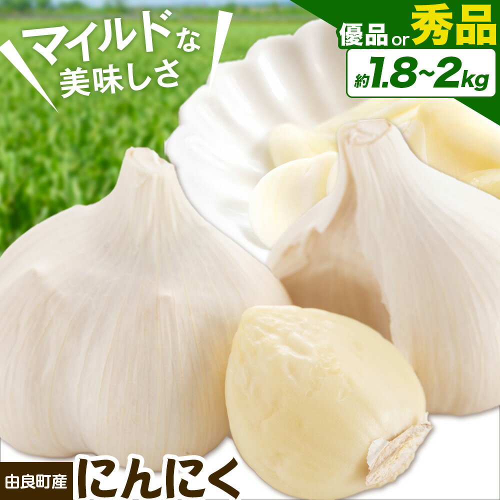 【ふるさと納税】由良町産 にんにく 選べる内容量 優品 約1.8kg 秀品 Lサイズ 約2kg(1kg×2) スマイル《4月下旬頃より出荷》和歌山県 日高川町 送料無料 ガーリック ニンニク