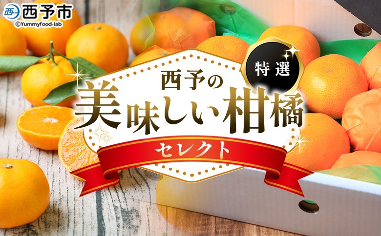 
            ＜西予の美味しい柑橘セレクト（特選）＞ 選べる 果物 くだもの フルーツ 蜜柑 みかん ミカン 柑橘 贈答 贈答用 ギフト プレゼント 特選 温州みかん 食べて応援 国産 愛媛県産 特産品 西予みかん倶楽部 愛媛県 西予市【常温】
          