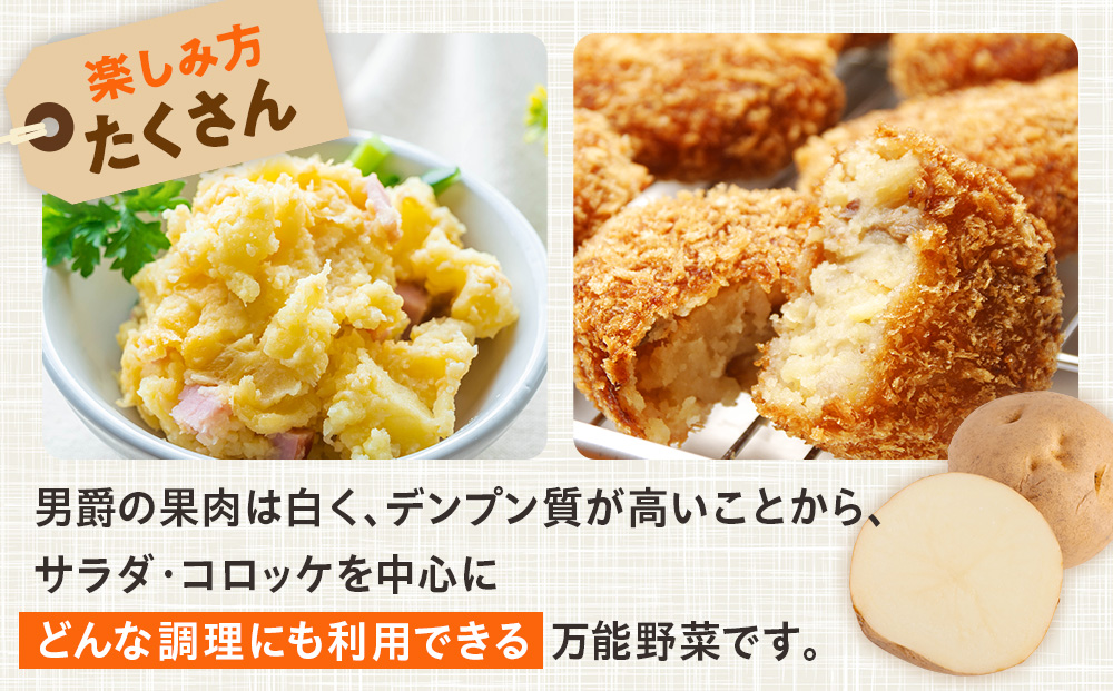R7年産先行受付 じゃがいも 10kg 特別栽培（男爵） | ジャガイモ 芋 男爵 馬鈴薯 大容量 新鮮 野菜 煮物 カレー シチュー ポテト 保存 特産 産地直送 北海道 津別町 送料無料