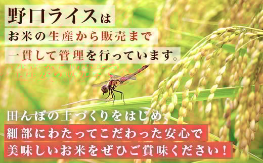 221-2【令和7年産】茨城町産 無洗米 ミルキークイーン 10kg(2kg×5袋)【野口ライス】