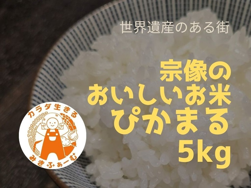 
【定期便/毎月お届け/全6回】むなかた産 米 ぴかまる5kg【みきふぁーむ】_HB0169
