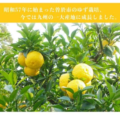 ふるさと納税 曽於市 末吉ゆずポン酢(500ml×1本) |  | 02