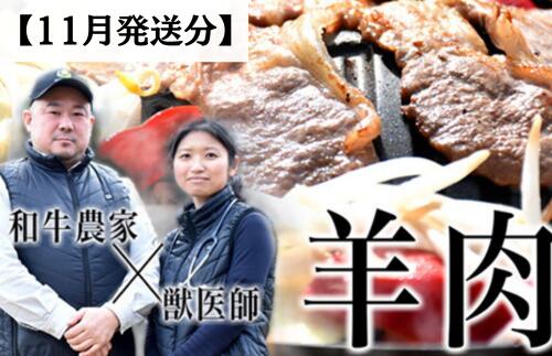 【ふるさと納税】［2025年10月下旬発送分］国産ジンギスカン肉250g（250g×1パック）　国産羊肉　液体急速冷凍