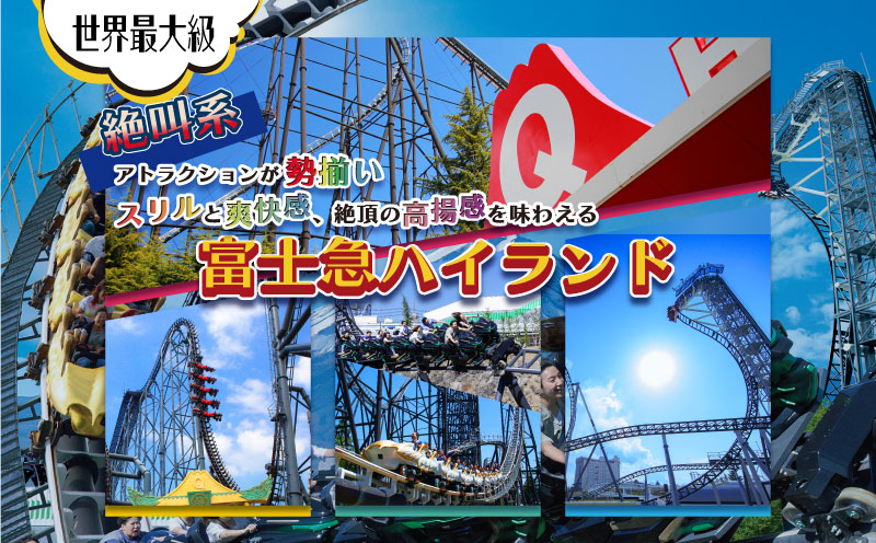 富士急ハイランド フリーパスペアご招待券　遊園地 招待券 チケット 富士急 ハイランド ペアチケット 山梨
