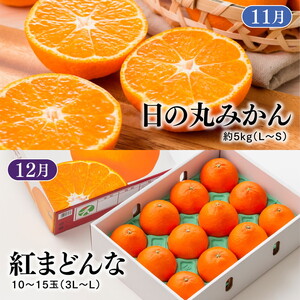 【定期便】【愛媛県共通返礼品】愛媛のかんきつ定期便（全6回）（日の丸みかん・紅まどんな・伊予柑・不知火・せとか・河内晩柑) ｜ みかん 蜜柑 日の丸みかん 紅まどんな 伊予柑 不知火 デコポン せとか