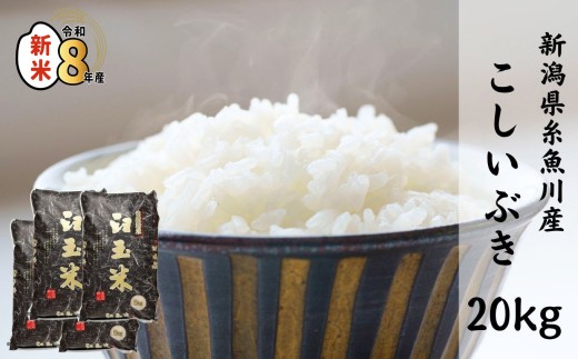【令和8年産新米】新潟県産こしいぶき『臼玉米』20kg 2026年産 木島米穀店【新潟県 糸魚川市 米 お米 白米 こめ コメ コシイブキ ご飯 ライス ふるさと納税米 お弁当 おにぎり 20キロ 精米 食品 新潟県 糸魚川産 2026年産 食品 人気 おすすめ】