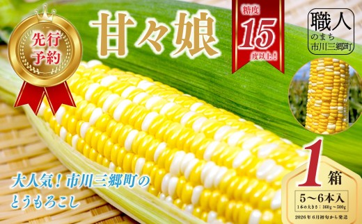 【2026年6月初旬から発送】市川三郷町産　とうもろこし 甘々娘　５〜６本入り箱　 ICHI ｜ 山梨県 市川三郷町 人気 スイートコーン コーン トウモロコシ 朝採り 先行 先行予約 甘い 野菜 夏野菜 BBQ　いち　[5839-2267]