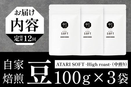 【定期便12回】【豆タイプ】珈琲屋 中-ATARI- SOFT (中煎り) -High roast- 100g×3袋×12回【徳島県 那賀町 自家焙煎 コーヒー 珈琲 ブレンド コーヒー豆 珈琲豆 豆