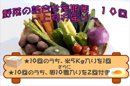 米5kgと卵20個付き！野菜の詰め合わせ定期便10回(上旬)【定期便】( 米 ご飯 ごはん お米 白米 卵 たまご タマゴ 野菜 やさい 詰め合わせ 定期便 季節の野菜 旬 おまかせ 九州 新鮮 とれたて おすすめ 満足 安心 )【J0-033】