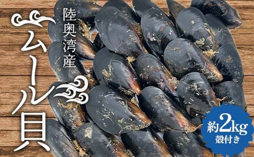 陸奥湾産 ムール貝 約2kg 【飛佳丸】 殻付き 活ムール貝 とれたて 新鮮 魚介 海鮮 漁師直送 パエリア パスタの具 青森県 平内町 東北 むつ湾 F21J-309